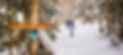 Catamount Trail.jpg