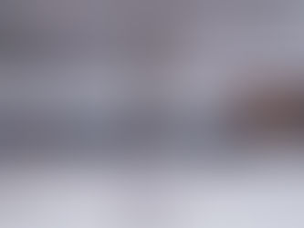 madbush falls covered in snow in Waitsfield, Vermont