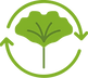 ginkgo.png