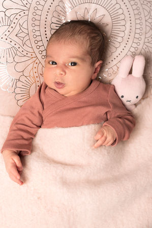 Newborn, baby, meisje, jongen, schommel, mand, Nijntje, kroon, schattig, pasgeboren