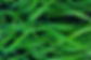 Grass_edited.jpg