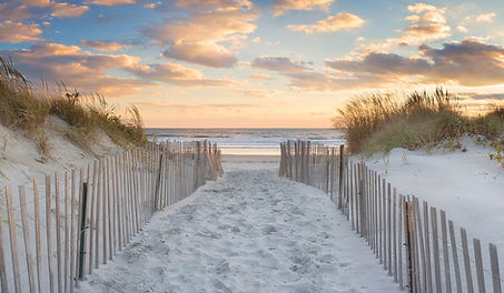 sachuest_beach_second_beach_middletown_sunset_20151113_0396-Pano_BEST_35x60_light_uhzy9p.j