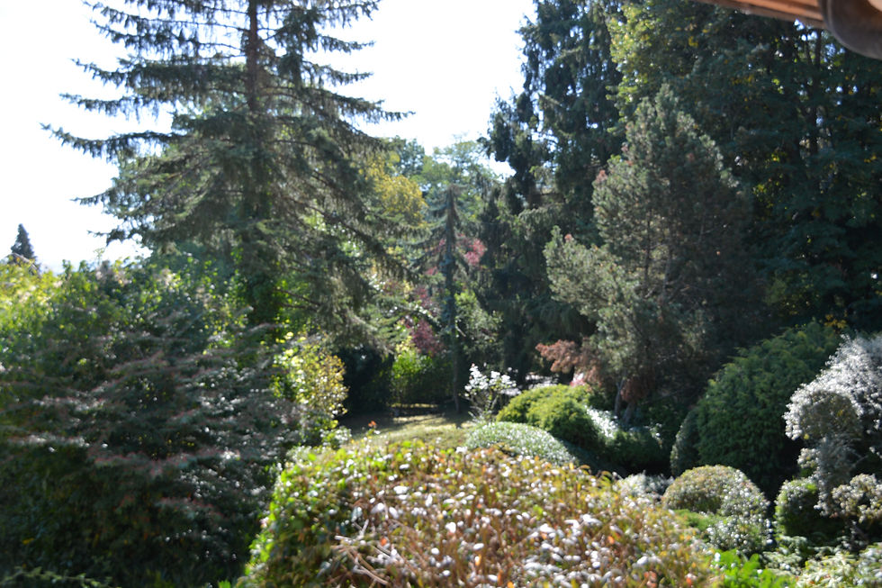 Miniature : Plappeville / Villa