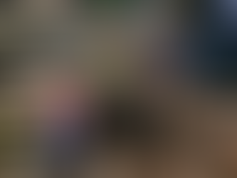 Parma Snow Library to watch Charlottes Web