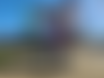 The Canton Museum Of Art