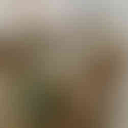 Byre Barn Kent’s First Ever Content Shoot: A Sparkling Beginning