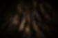 giant-roots-of-a-tropical-tree-in-the-jungle-2024-10-18-10-16-48-utc-(Compressify_edited_e