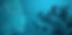 fondsitepage2.jpg