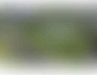 Sustainable Neighborhoods and Communities