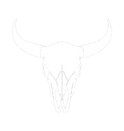 bison-skull-vector-design-logo-600nw-2279583341-removebg-preview.png