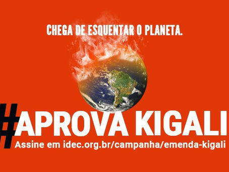 Clipping: Pressão para aprovação da Emenda de Kigali