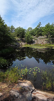 20260812_141635.jpg