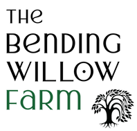 The Bending Willow Farm - farm school classes