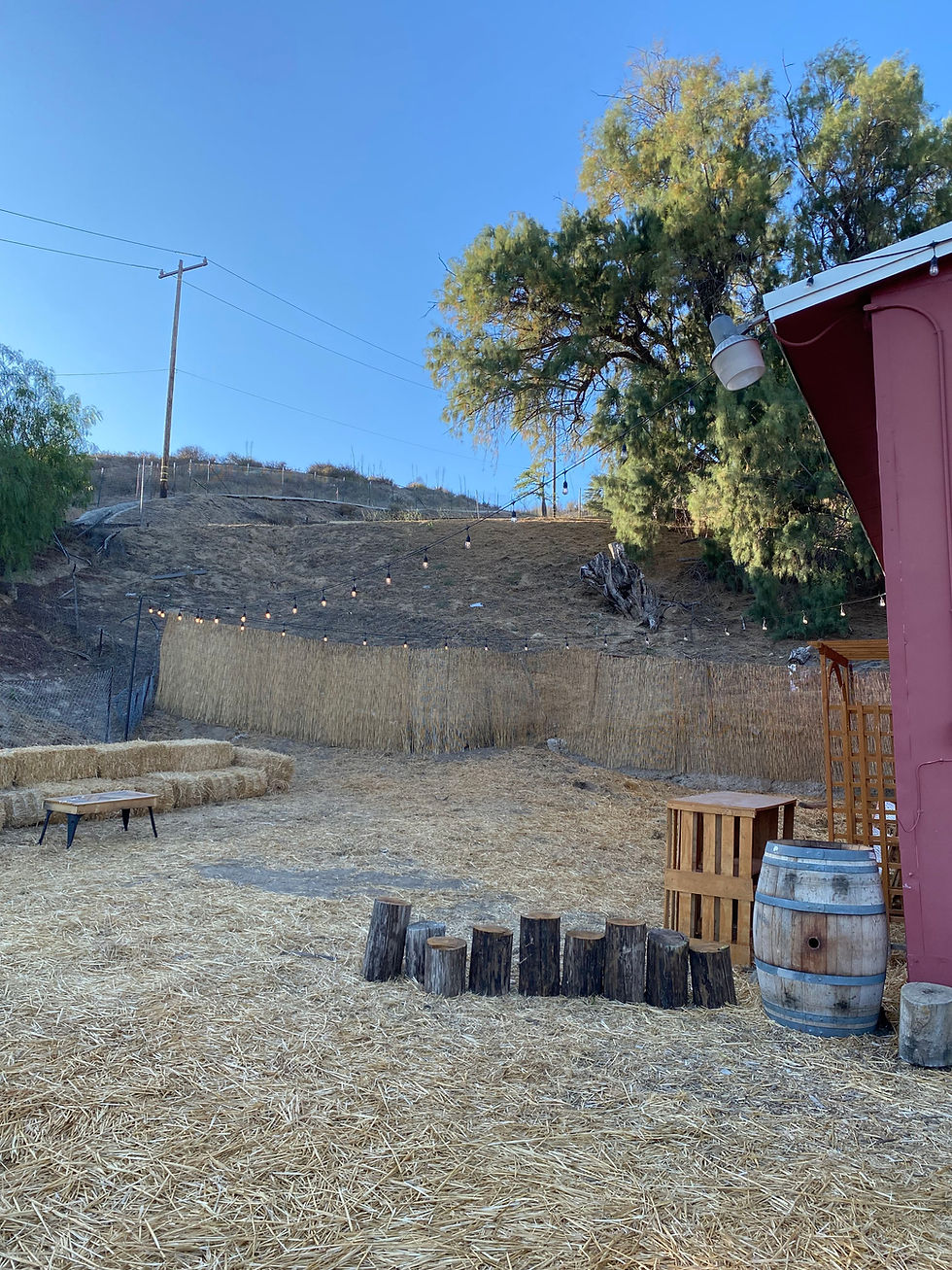 The bending willow farm- farm school - barn