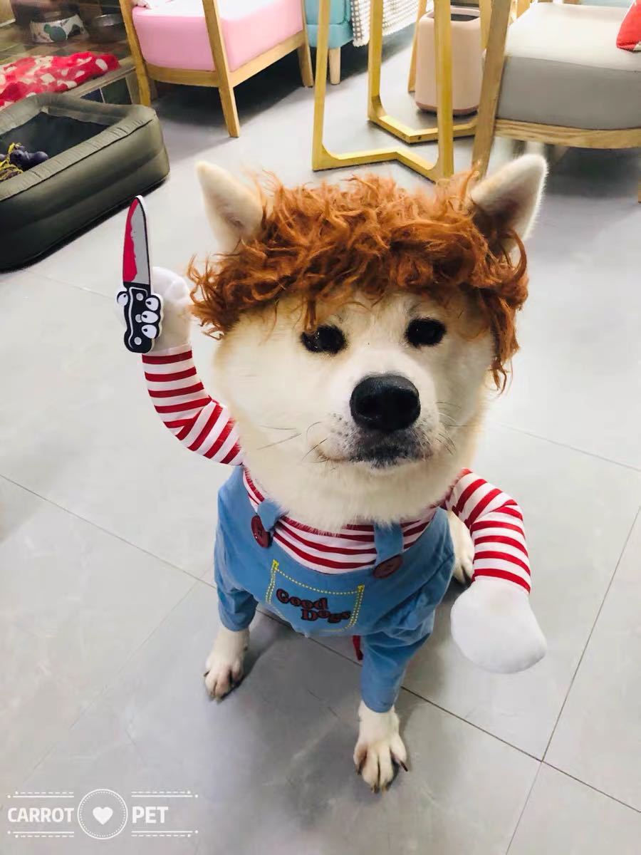 Thumbnail: Funny Horror Dog & Cat Costume