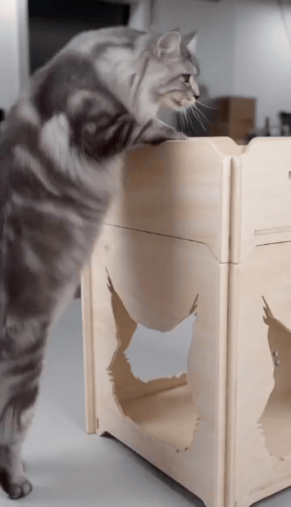chats xxl 2026 (1).gif