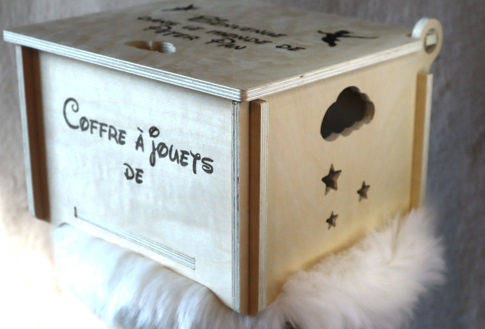 Miniature : coffre jouet personnalisable