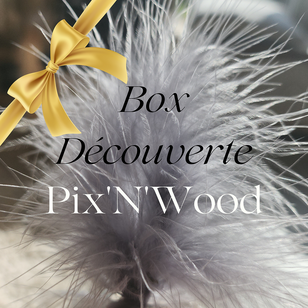 Box Découverte pour chat Pixnwood