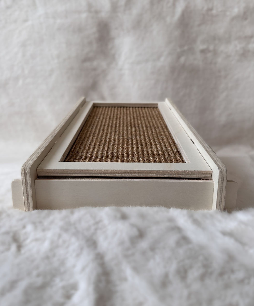 griffoir naturel chat