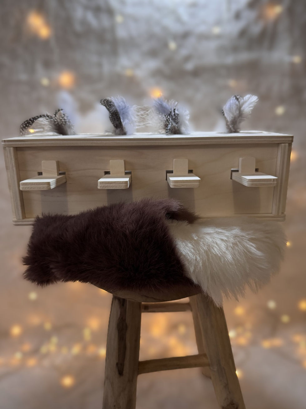 Miniature : jeu cache cache chat