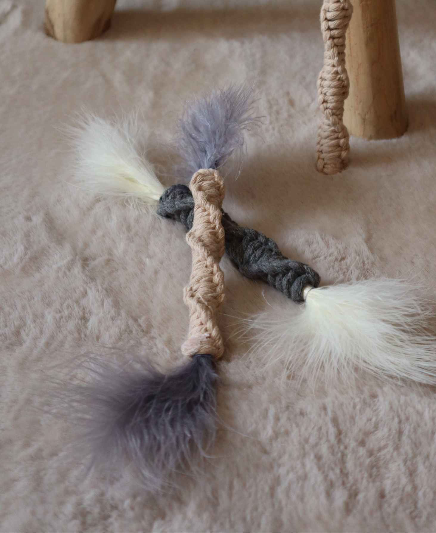 plumeau chat pixnwood