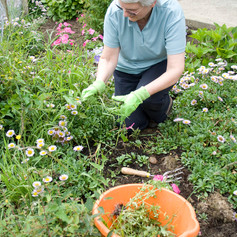 Planting .jpeg