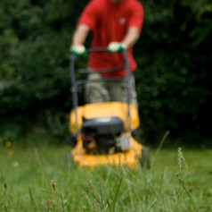 Mowing Lawn 2.jpeg