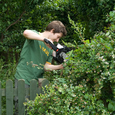 Cutting Hedge.jpeg
