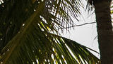 DSC02517.jpg