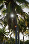 DSC02517.jpg