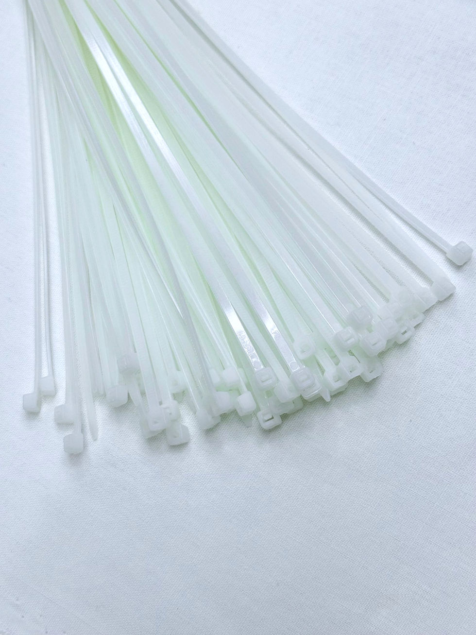 WhatsApp Image 2025-10-10 at 15.53_edited.jpg