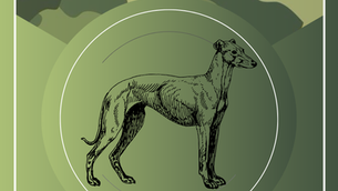 CONVOCATORIAS 4 Y 6 DE DICIEMBRE - GRUPO MIXTO Y PROVINCIAL