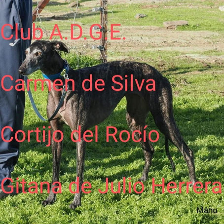 REPRESENTANTE DE EXTREMADURA EN EL GRUPO MIXTO, LA CUAL SE ENFRENTA A MADRID EN SEMIFINALES DE GRUPO MIXTO.