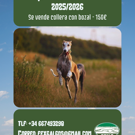 SE VENDE COLLERA CON BOZAL 2025-2026
