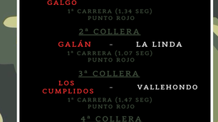RESULTADOS PREVIAS DÍAS 8 Y 9 DE NOVIEMBRE.