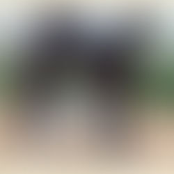 CAMPEONA GRUPO MIXTO.