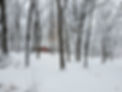 winter shack.jpg