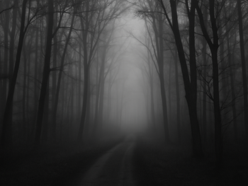 Holding Two Truths: The Daily Practice of Living Paradox