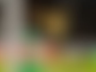 A Thrilling Finale at 103rd All Japan High School Soccer Championship National Tournament