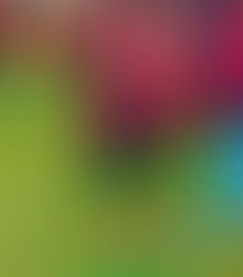 Good morning Luis Rio