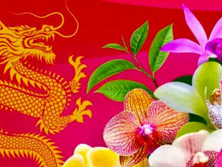 Petals of Power: When Orchids Speak Across Cultures