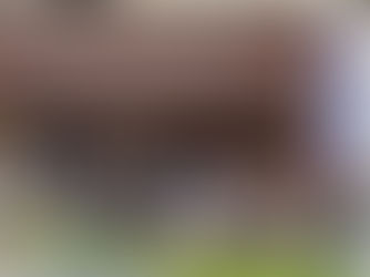 Rice Price Crisis: Japan’s Farmers Fight for Fair Pay