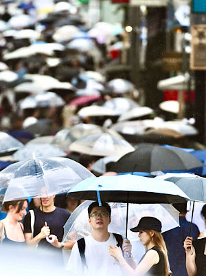 Rain Over Japan: The Unexpected Journey Every Tourist Remembers