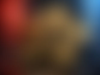 Justice on Paper, Fraud on the Streets: The Kanagawa Police Scandal