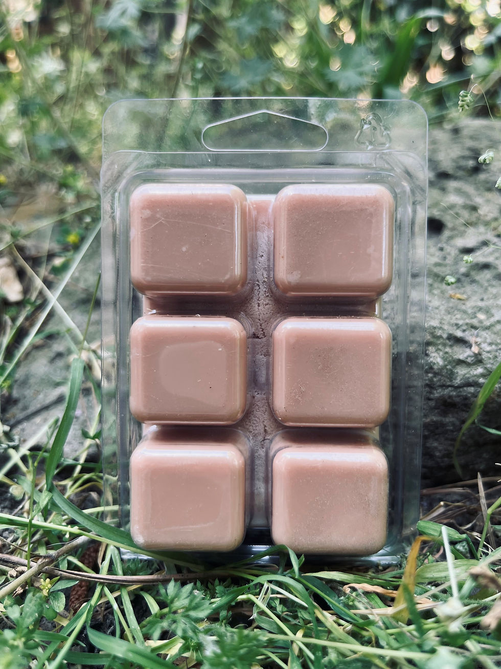 Thumbnail: Santal Shores - Wax Melts
