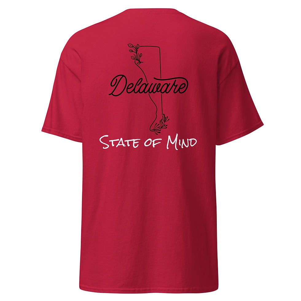 Thumbnail: State of Mind Collection Adult Tee - Delaware