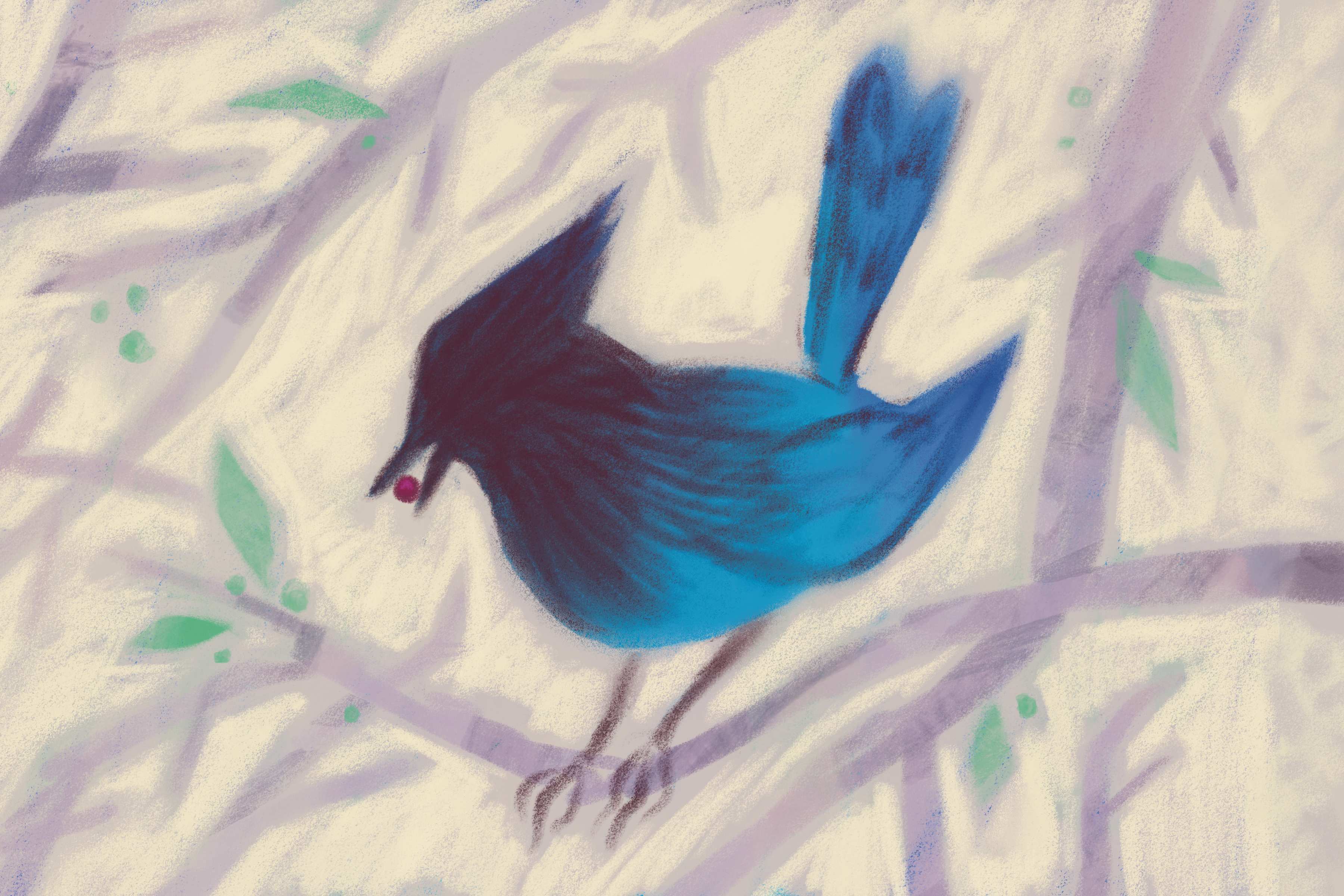 Stellers Jay Print