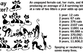 5664840_orig.png
