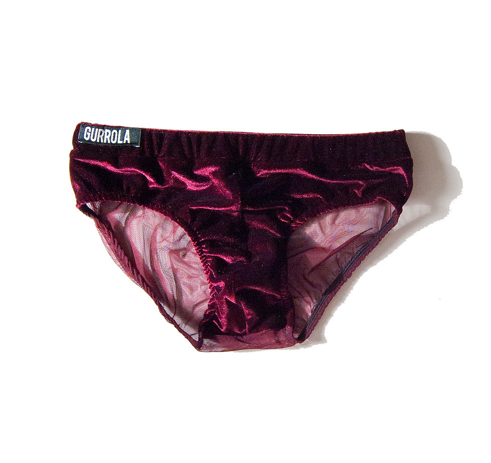 MERLOT VELOUR BRIEF FRONT FLAT .jpg