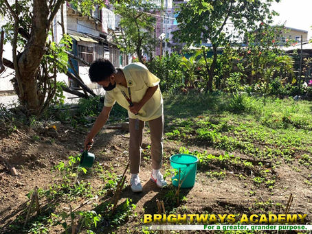 Now is the time to plant!